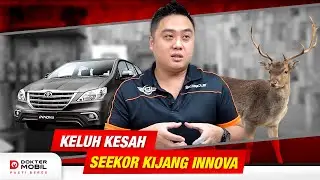 Tips Memelihara Seekor Toyota Kijang Innova - DOMO Indonesia