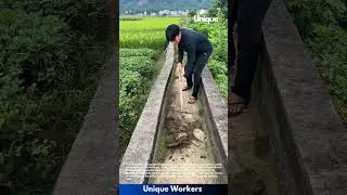 Cleaning irrigation canal: maintaining water flow for crops