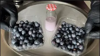 Blueberries | prime ice cream rolls (ASMR)