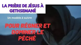 PARALLÈLE ENTRE LA PRIÈRE DE JÉSUS À GETHSEMANE ET LA PRIÈRE DE LA NOUVELLE CRÉATION #jesus #salut 