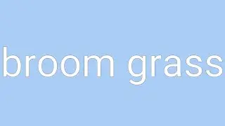 Broom Grass Definition & Meaning