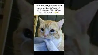 pata nahi🥲#trending #funny #tweetreels #cat #memes #relatable#edit#foryou #sad#lofichill#thoughts