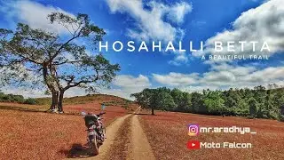 Solo Ride to HOSAHALLI BETTA | Sakleshpur | Gixxer 150 | Moto Falcon