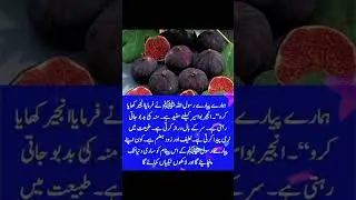 Hadith Mubarka