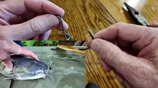 Best limb line rig for big catfish