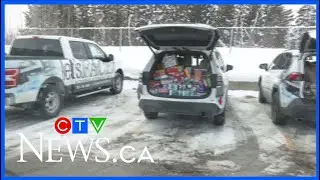 Barrie renovations company 'fills fleet' of vehicles with non-perishables for food banks