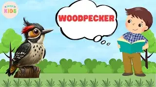 Woodpecker Facts For Kids 😊 Learn All About Woodpeckers | MON Kids