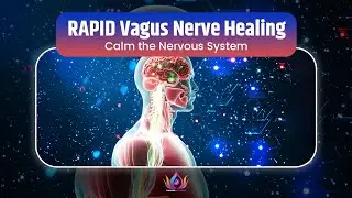 RAPID Vagus Nerve Healing  | Calm the Nervous System & Support Deep Emotional Balance | 432Hz