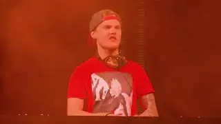Avicii - Hey Brother  (Live at Summer Ball 2015)