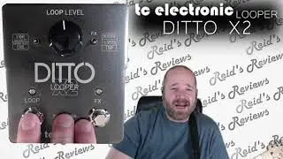 too basic? TC Electronic DITTO X2 LOOPER Guitar Pedal Review, Reid's Reviews