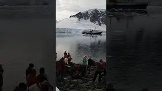Polar Plunge in Antarctica