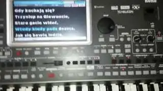 korg pa900