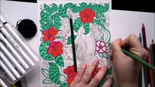ASMR coloring Fairy 05 (on strathmore paper with prismacolor pencils)