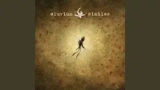 The Motion Makes Me Last