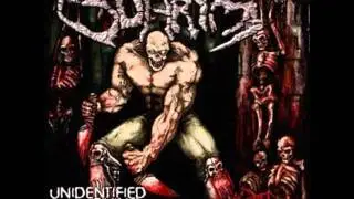Suhrim - Shai hulud