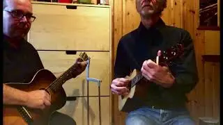 'Richland Woman Blues' - a tenor ukulele version