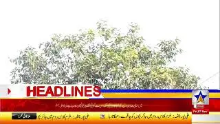 Star Asia News Live: Latest Pakistan News Live 24/7 Breaking News & Headlines (Today News)