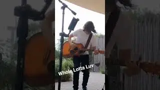 Led Zepplin - Acoustic??? #guitar #music #livemusic #live #band #rock #ledzeppelin #classicrocksong