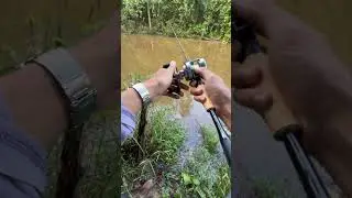 Tak kumpow geng&hellip; shimano expride bsf shimano cq101dc #fishing #shimano #otai #shimanocqdc101