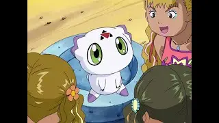 Um I Guess You Guys Don't Have Any Mirrors At Home Huh - Digimon Tamers