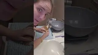Guinea Pig Health Checks 