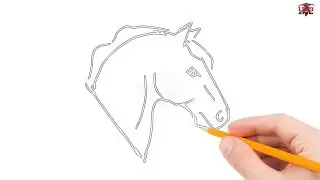 How to Draw A Horse Head Step by Step Easy for Beginners &ndash; Simple Horse Drawing Tutorial