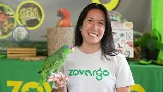 Zovargo Animal Internship