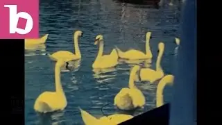 Family summer holiday, Bavaria 1971