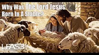 Why Was The Lord Jesus Born In A Stable?