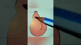 Brief development of heart