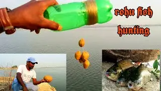 Amazing Fishing🎣 |Manching Fishing |Rohu🦈 Fish Catching |Unique Fishing |Jumbo Fish 🐟🐟|Hock Fishing.