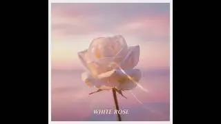 White Rose (Official Audio) (prod. Cheap Limousine)