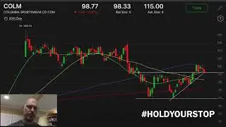 SAM PEGA AVLR TNDM CVNA SAFE NTES ANET NFLX INCY CNC AZPN SAIC - June 24, 2019