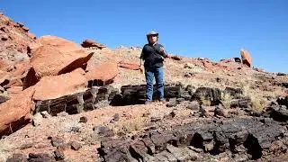 Utah-- Wolverine Petrified Forest