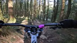 Bike Park Wales, Roots Manoeuvres, March 2025