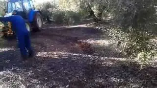 New Holland TL90 con pantógrafo Pellenc y pinza MAI