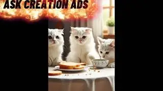  White Cat Family Daily Life Story in Urdu/for you 