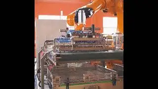 Robot arm automatic pouch loader and unloader automatic production line #autoclave #machine