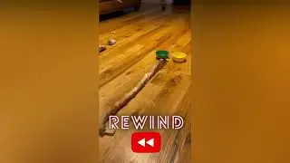 Milli's Rube Goldberg Machine