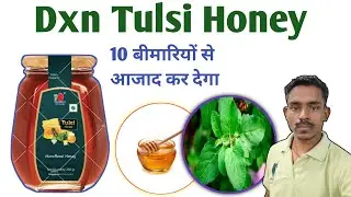हर बीमारियों से बचाव का आसान उपाय। Dxn Honey Tulsi के फायदे। शहद और तुलसी अमृत जैसा गुण।