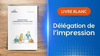 D&eacute;l&eacute;gation de l&rsquo;impression reprographie : le livre blanc de r&eacute;f&eacute;rence ! 📚
