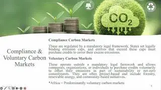 Litigating Transparency and Community Rights: Accountability in Africa&rsquo;s Carbon Markets