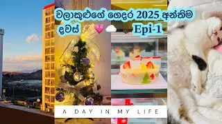 වලාකුළුගේ ගෙදර 2025 අන්තිම දවස් 🫶🏻💗☁️🐾 | හැමදාම ලස්සන පාටට රැවටිලා කෑම ගන්න මම 😒🙈