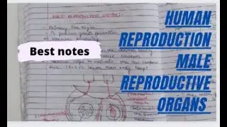 Human reproduction male sex organ complete ncert notes #biology #shorts  #humanreproductionclass12