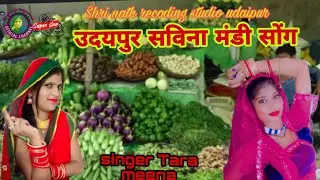savina mandi song//सविना मंडी गीत//tara meena