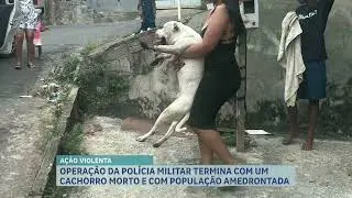 Operação da Polícia Militar termina com tiroteio e cachorro morto em Ibirité (MG)
