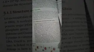 structure of polynucleotide chain class12th #cbse#12thclass#biology