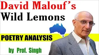 Wild Lemons by David Malouf | Summary & analysis of Wild Lemons | David Malouf