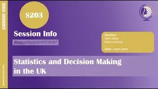 IDWSDS 2025 - S203: Statistics and Decision Making in the UK