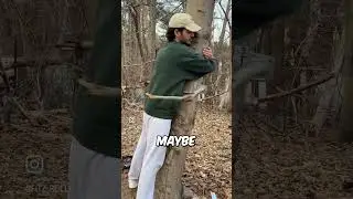 Tree Hugs A Man